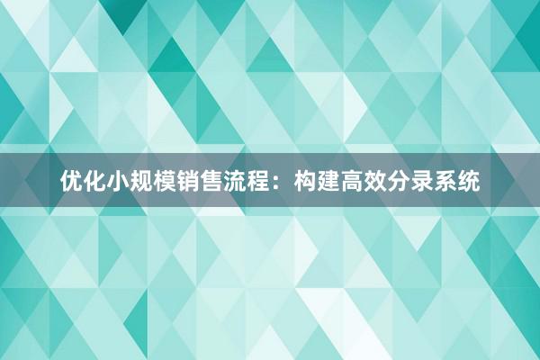 优化小规模销售流程：构建高效分录系统